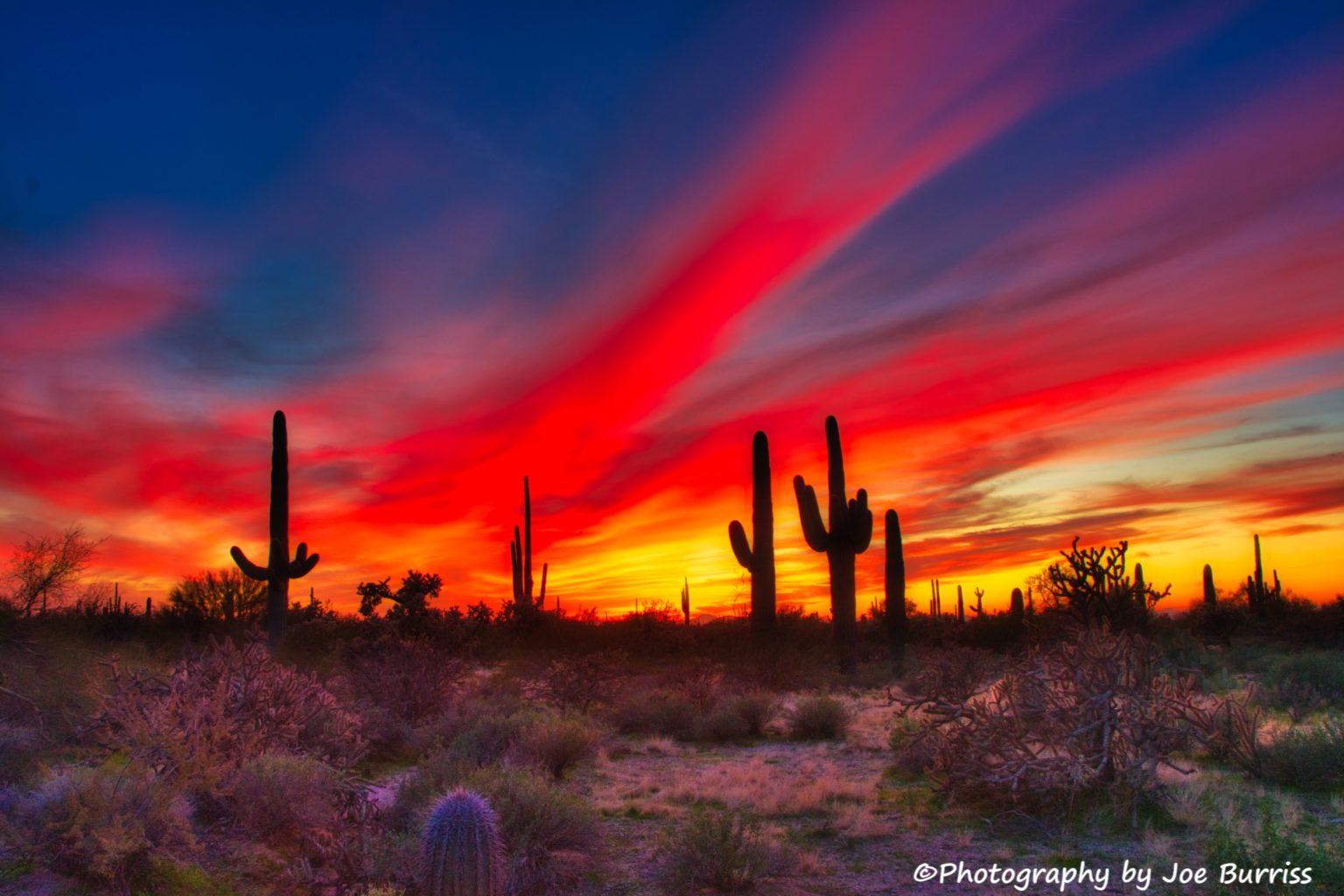 Mesa Arizona Journey with Joe and Jane