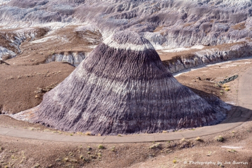 Petrified Forest