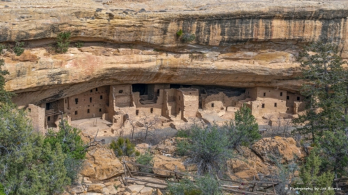 Colorado Mesa Verde Spruce Tree House - DSC_0383