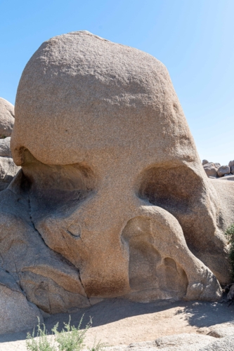 Joshua-Tree-Skull-Rock-1