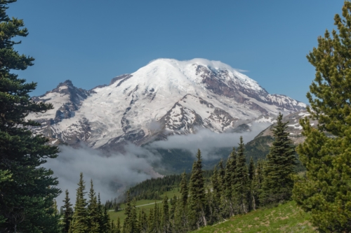 Mt Rainier