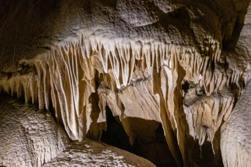 Sequoia-Crystal-Cave-Drapery