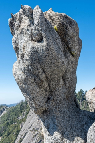 Sequoia-Rock-1