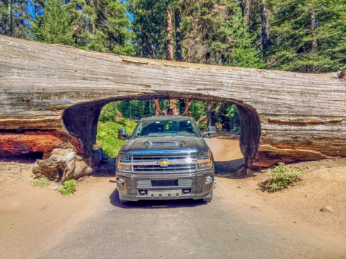 Sequoia-Truck-and-Tunnel-Log