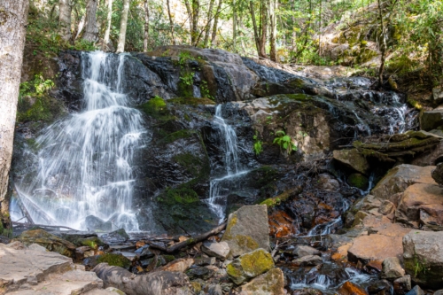 Sequoia-Waterfall