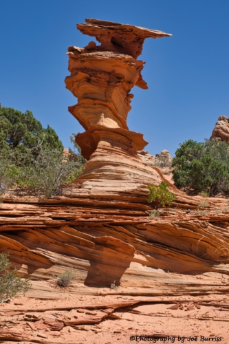 VCNM-South-Coyote-Buttes-Control-Tower-DSC_3570