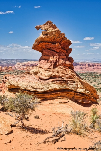 VCNM-South-Coyote-Buttes-The-Sorting-Hat-DSC_3551