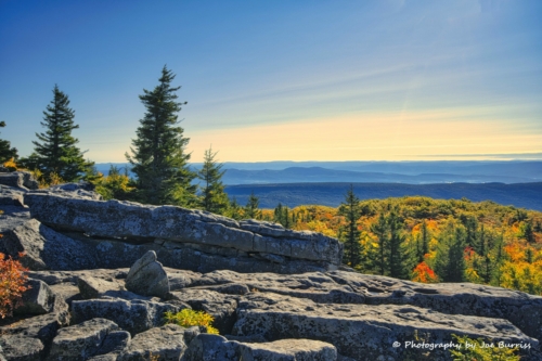 WV-Dolly-Sods-Bear-Rocks-DSC_0305