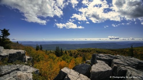 WV-Dolly-Sods-Bear-Rocks-DSC_0359