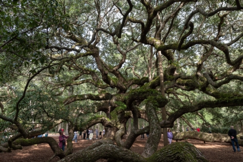 Charleston South Carolina