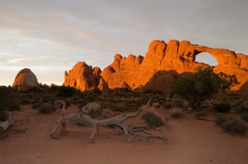 Arches NP Skyline Arch