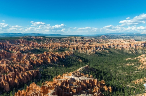 Bryce Canyon Overlook 1