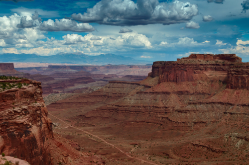 Canyonlands Looking toward la Sal Mountains