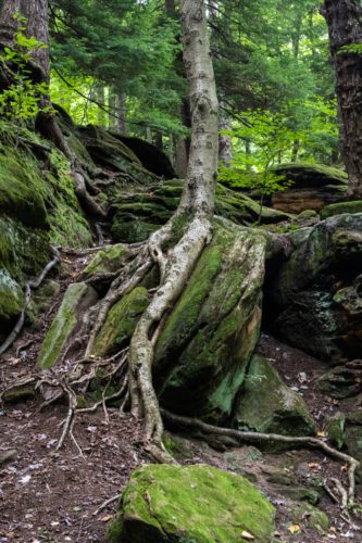 Cuyahoga National Park Ledges Trail 7