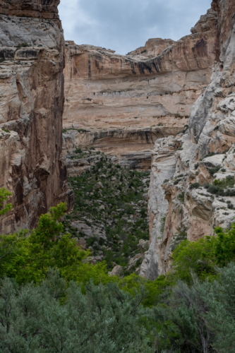 Dinosaur National Monument Box Canyon