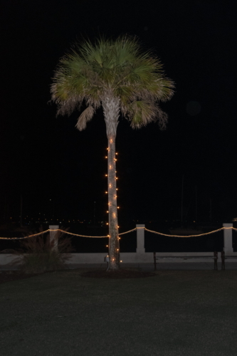 Florida, Christmas is different this far south