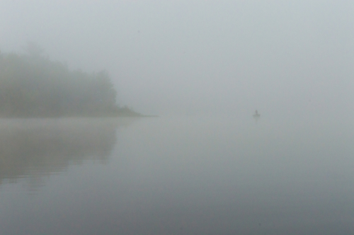 Foggy Morning