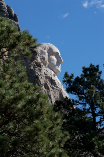 George in Profile (1)