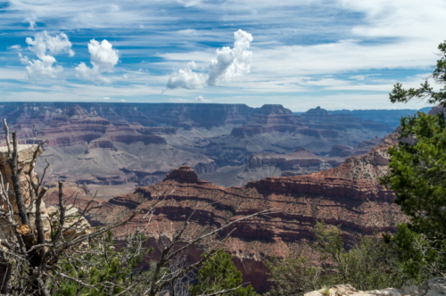 Grand Canyon 3 (1)