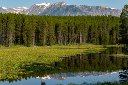 Heron Pond Eagle's Rest Peak Reflection Grand Teton National Park (1)
