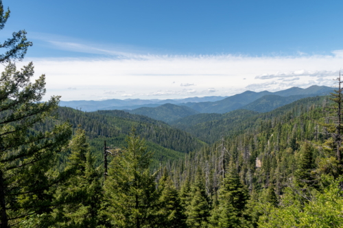 Oregon Caves Cliff Nature Trail View