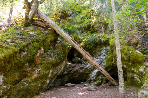 Oregon Caves Cliff Nature Trail View 2