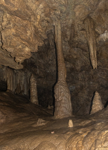 Oregon Caves Column