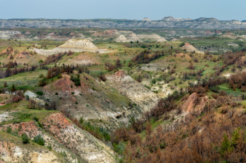 Theodore Roosevelt Badlands 1 (1)