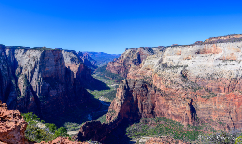 Utah-Zion-NP-Observation-Point-