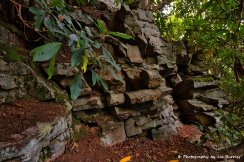 WV New River Gorge Cliff - DSC 0179