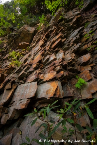 WV New River Gorge Cliff - DSC 0193