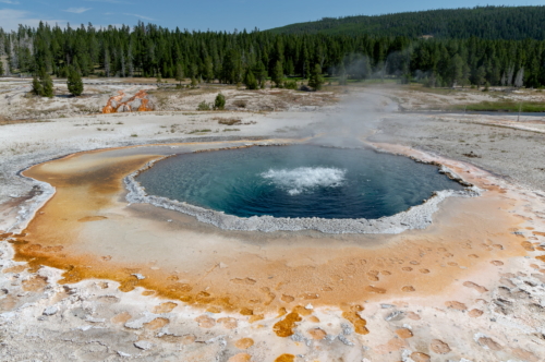 Yellowstone Crested Pool (1)