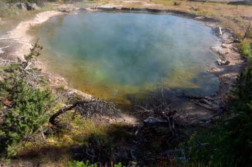 Yellowstone Leather Pool (1)