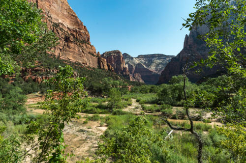 Zion Canyon 